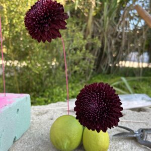 SEMINARIO online ALAMBRADO MIÉRCOLES 6 MAYO 2026