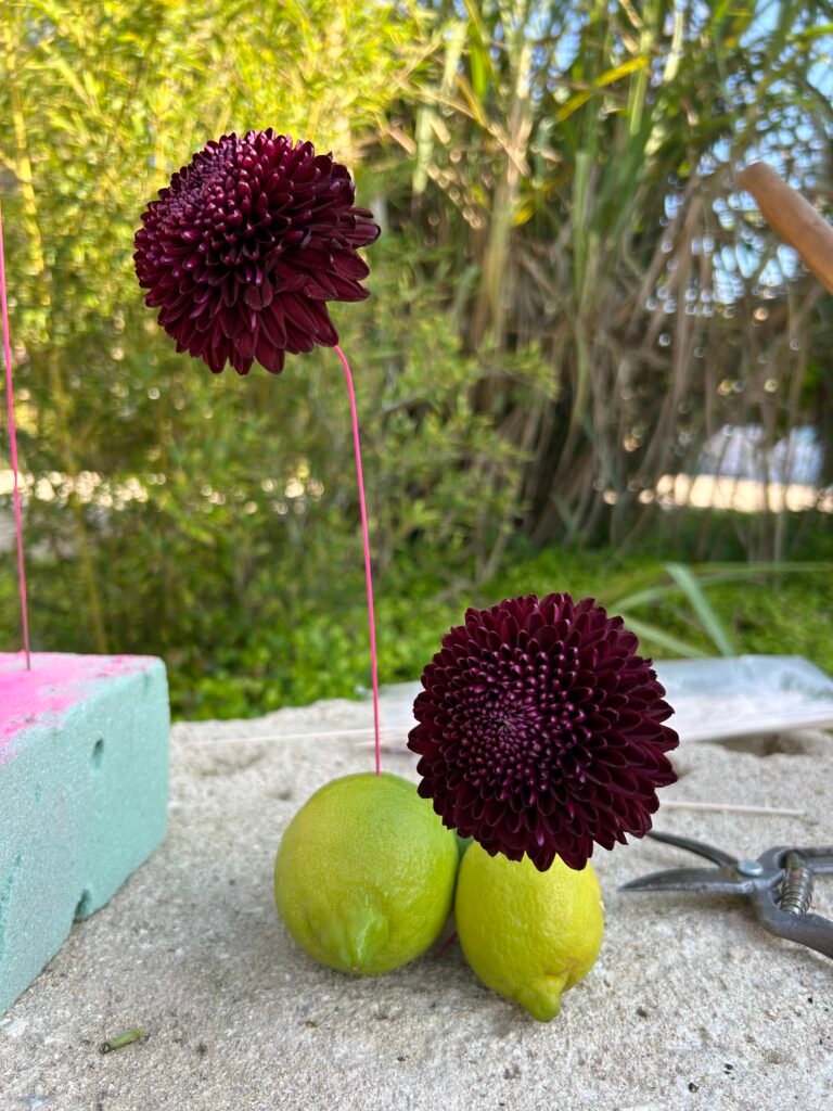 VIDEO Alambrado floral